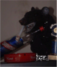 Benutzeravatar